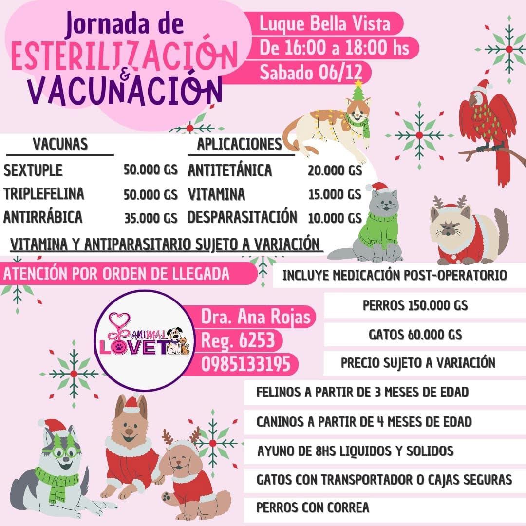 Jornadas de Castraciones a bajo costo, toda la información en las imágenes solo ayudamos publicando 🙌🐾❤️