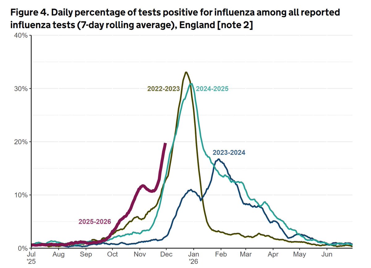Damian Roland tweet media
