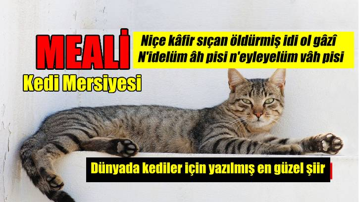 Kedi Mersiyesi (Mersiye-i Gurbe) / Meali gercekedebiyat.com/haber-detay/ke… #Gercekedebiyata @Gercekedebiyata aracılığıyla
