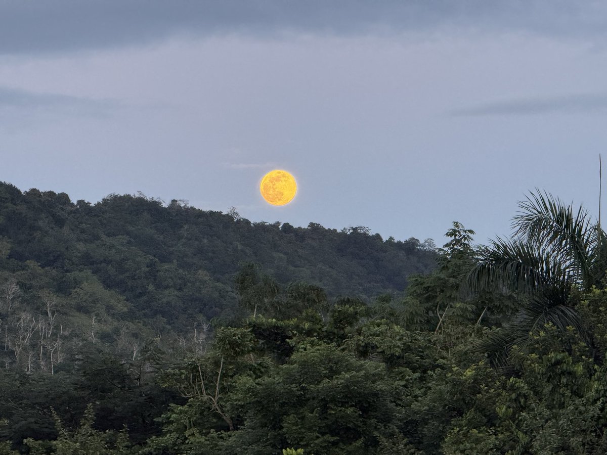 R_Requena_R's tweet photo. Desde Caguas!! @adamonzon https://t.co/qTt0E6M4MS