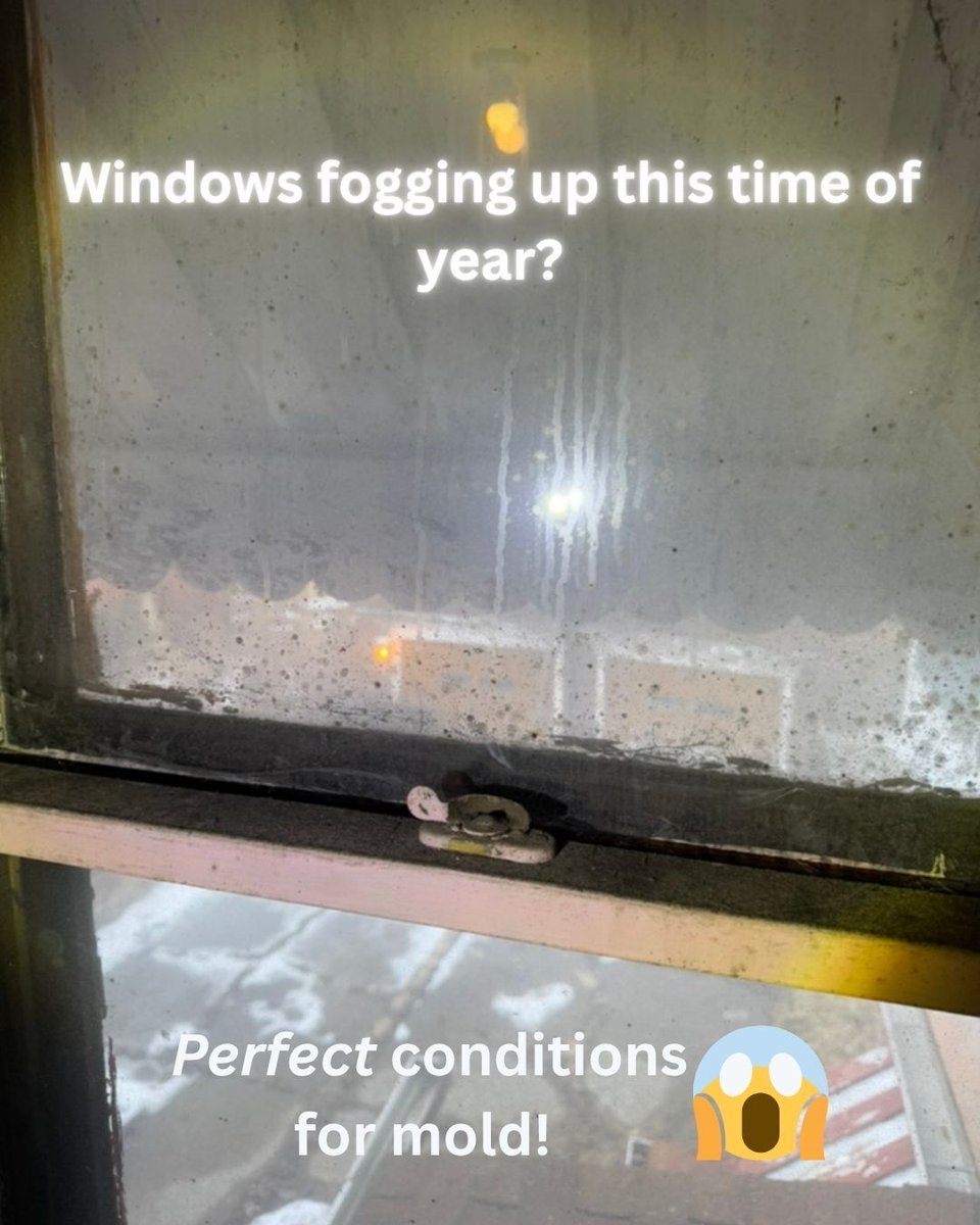 MrMoldRemoval's tweet photo. Windows fogging up this week? 💧
That condensation feeds mold FAST.
Stay ahead of winter moisture — book your free inspection. 💚

#WinterMoisture #WindowCondensation #HealthyHome #MoldRemediation #Michigan https://t.co/pQ9eP7iyQN