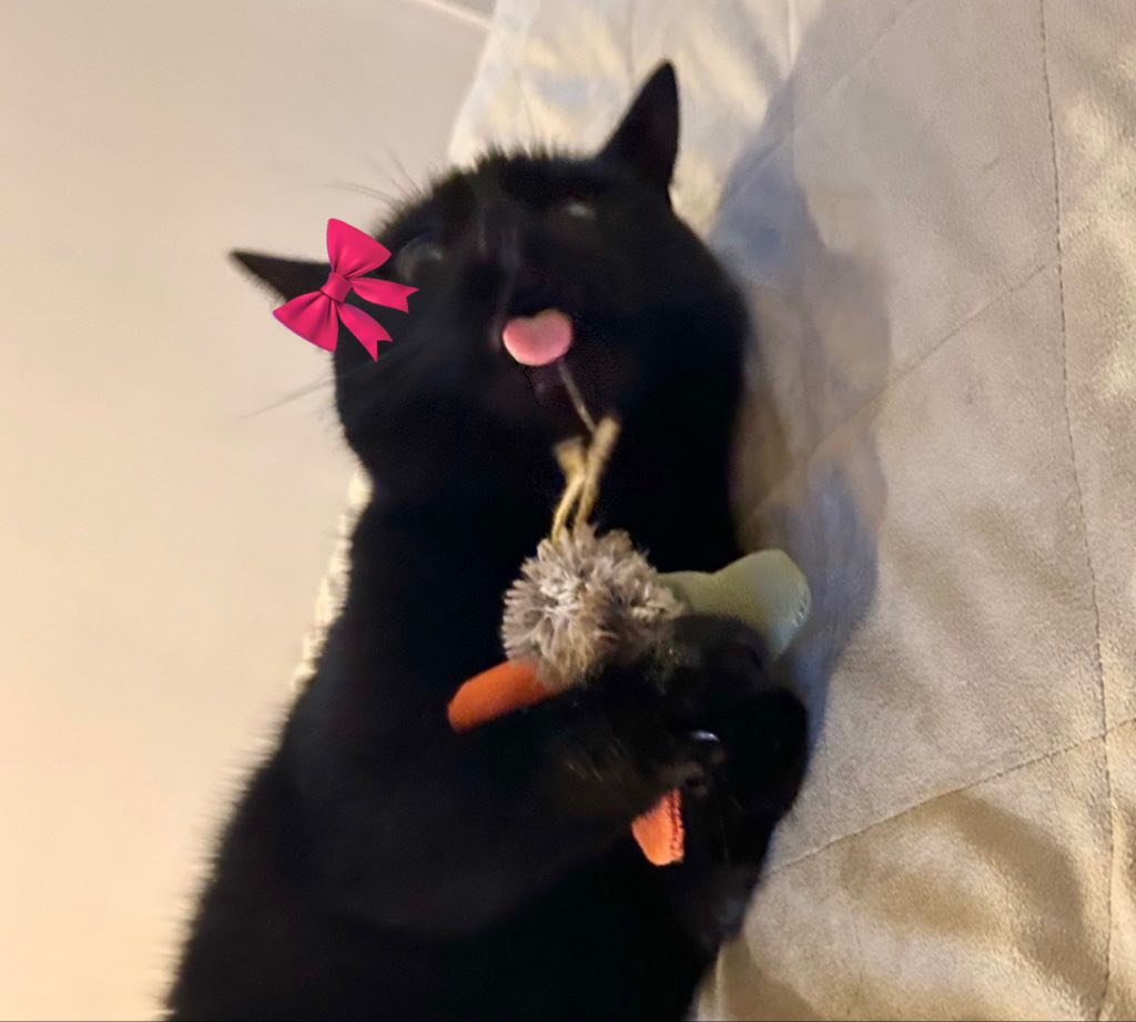 <a href="/biancosayshello/">Bianco 🤍</a> ‼️‼️‼️‼️‼️‼️