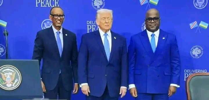 🚨Donald Trump : « Ces deux hommes sont des dirigeants, ce sont de grands dirigeants, et ils vont le prouver dans les mois et les années à venir. J’ai confiance que c’est ce qui va se produire ».