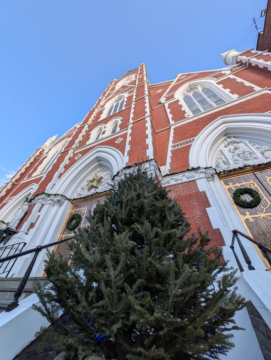 Es hora de una nueva tradición navideña
Ya estoy corriendo por la ciudad tomando fotos de cada árbol que se asoma por