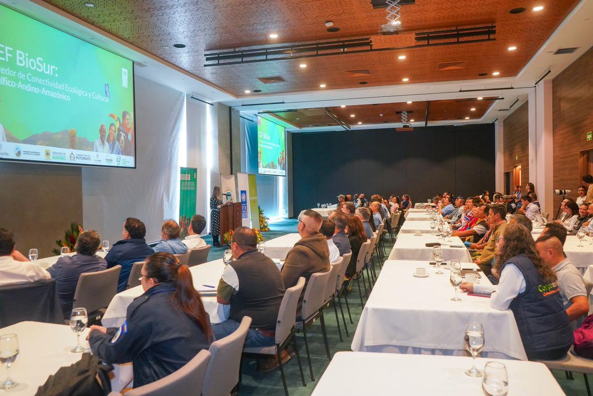 MinAmbienteCo's tweet photo. En el corazón del Pacífico-Andino-Amazónico colombiano y en el marco de #Bioexpo2025, fue lanzado el proyecto GEF BioSur, una apuesta conjunta del @PnudColombia y @ParquesColombia, con el apoyo de @theGEF y el acompañamiento del @MinAmbienteCo.

BioSur se presenta como una visión de país que sustenta una alianza para proteger lo que resiste y fortalecer a las comunidades que salvaguardan la biodiversidad.  La iniciativa beneficiará a cerca de 13.000 personas en Nariño y el Alto Putumayo, con enfoque de equidad y reconocimiento a liderazgos.

“Este es el camino que queremos consolidar desde el Gobierno Nacional: una gestión que se construye con la gente y un compromiso con el futuro ambiental de Colombia”, expresó la viceministra @BastidasEdith.
