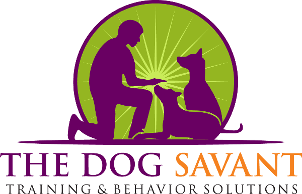 Sherman Oaks is known for its blend of residential neighborhoods, bustling Ventura Boulevard, and dog-friendly lifestyle. Group dog training is especially valuable...
dogtrainingnearme.us/california/the…