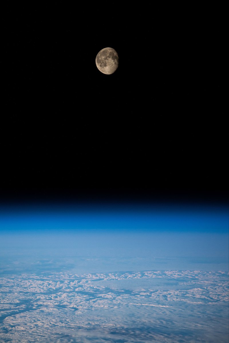 astro4pics's tweet image. The Moon from space
