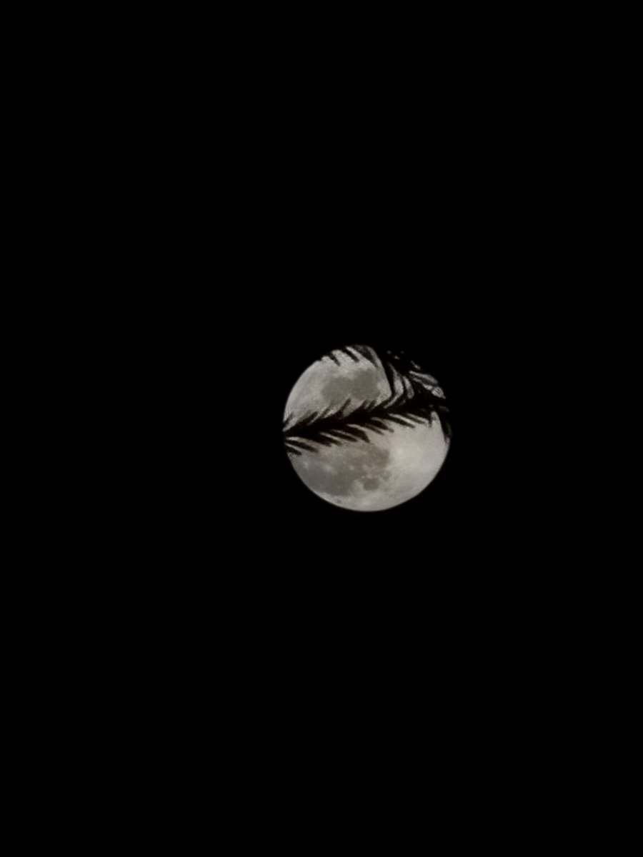 nylesor68's tweet photo. #Moon #Luna #SanJuan #PuertoRico 🥰🩶🌚 https://t.co/Smxt3sQXqf