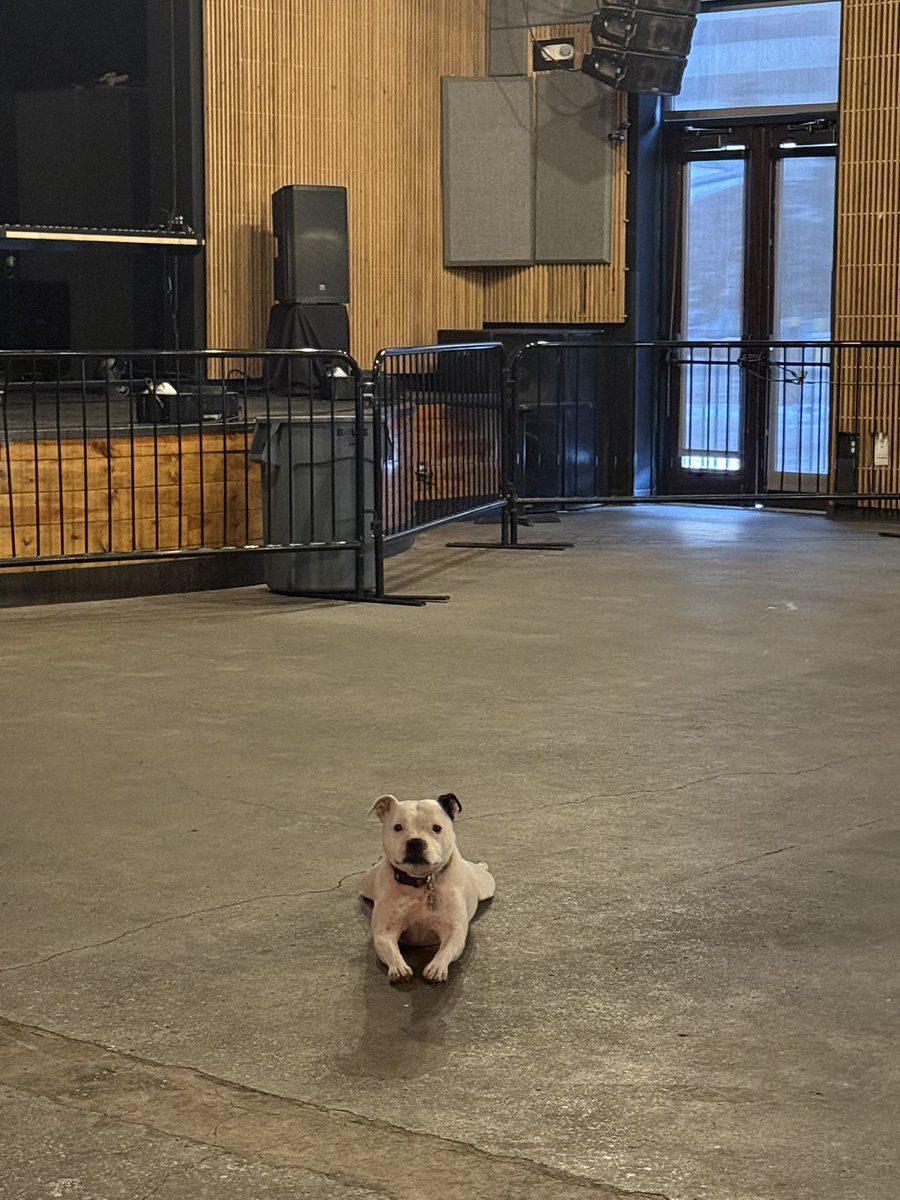 _dan_dandan's tweet image. My copilot makes me a happy little lady❤️