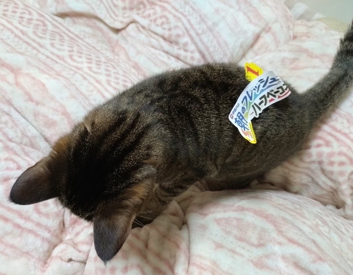 みぃ (@Js4zeKqmJxbnVBS) / Posts / X