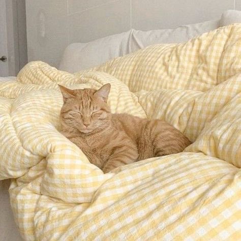 the way this is the same picture