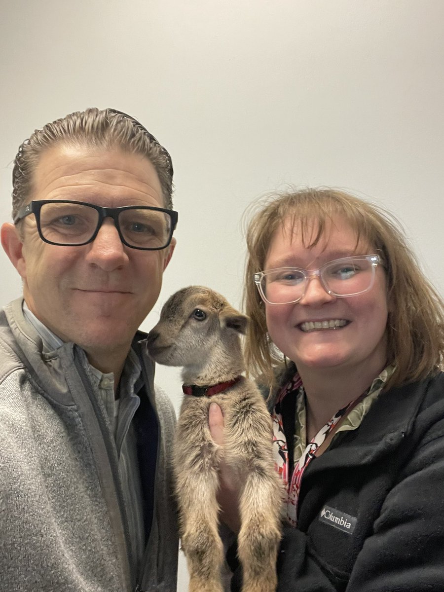 Trey Ondrus tweet media