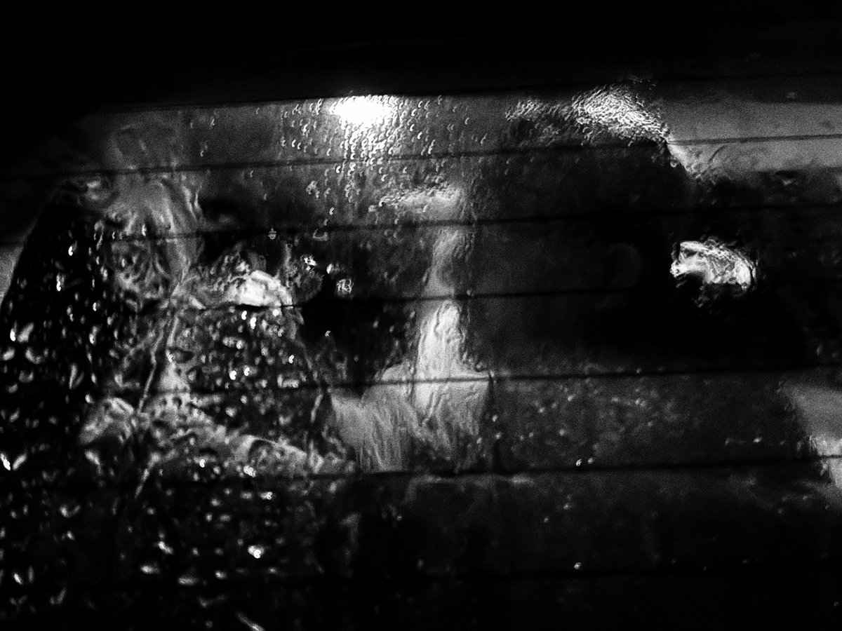 From 11-3-25. Day 16 of The End.