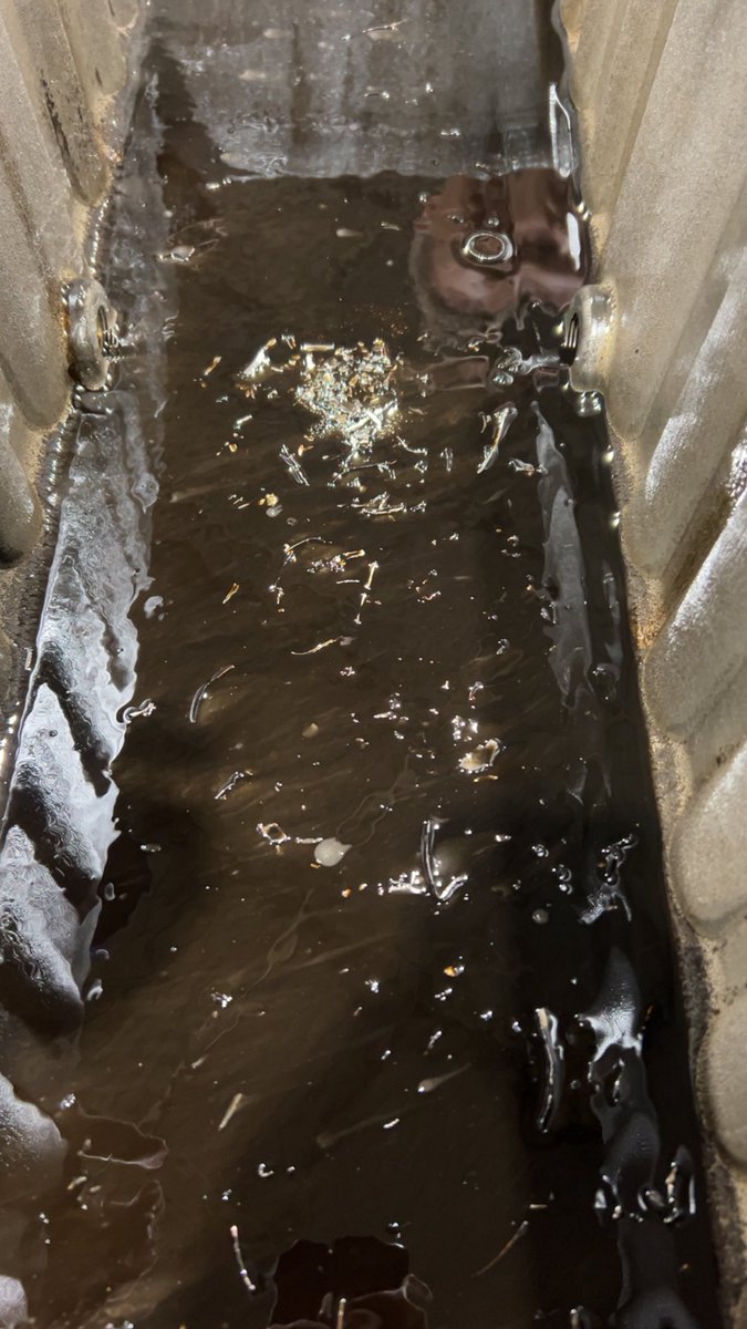 Drewby 🙋🏻♂️🙋🏻♂️ tweet media