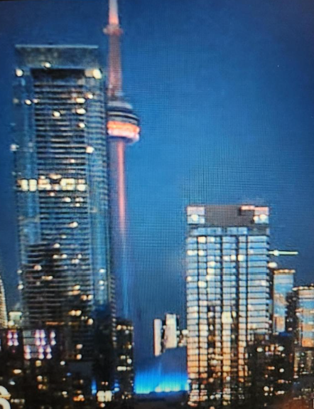 Susan_RNAO tweet media