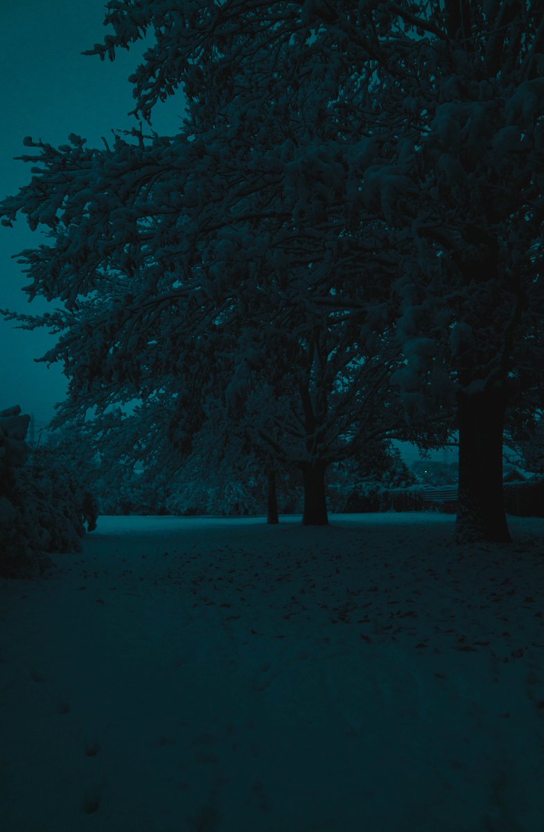 zosphotos's tweet image. Dark snowy mornings