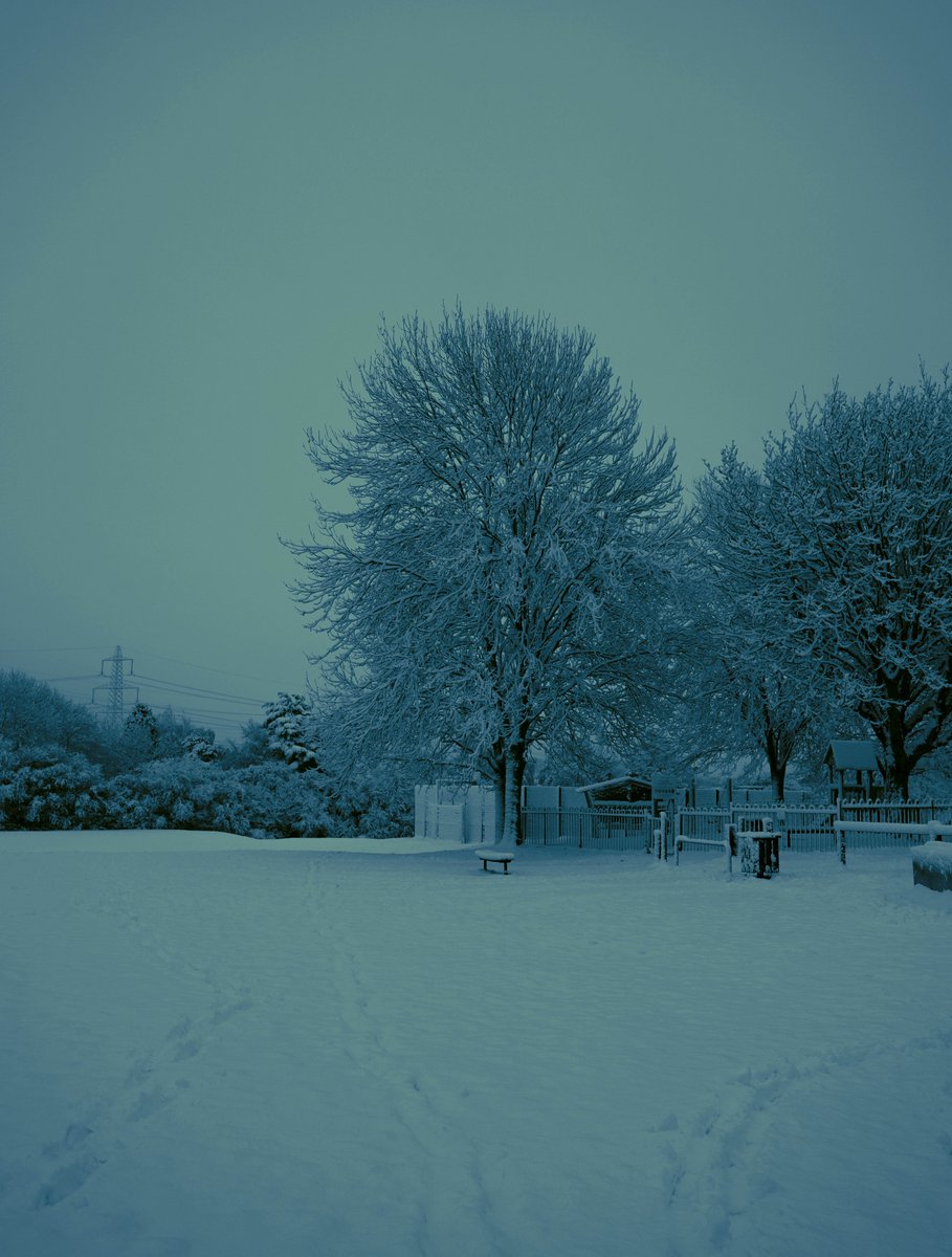 zosphotos's tweet image. Dark snowy mornings