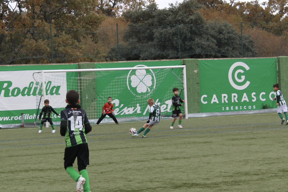 📸 𝐌𝐚𝐭𝐜𝐡 𝐠𝐚𝐥𝐥𝐞𝐫𝐲 | Prebenjamin “A”
 
#CanteraGuijuelo | #TodoalVerde 💚