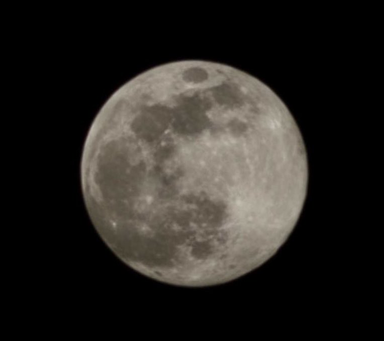 أربع عشر بدرا🩶✨