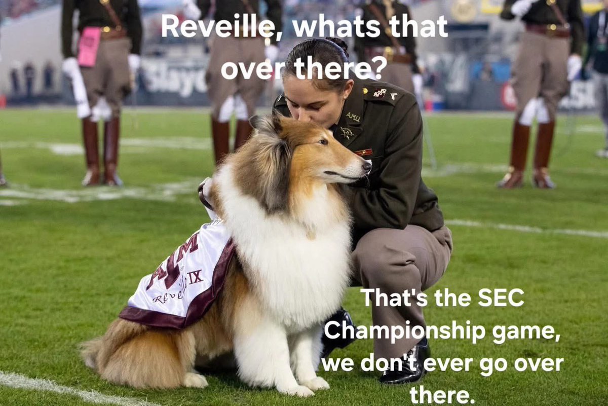 timwilkinson91's tweet image. 😂🤣😂