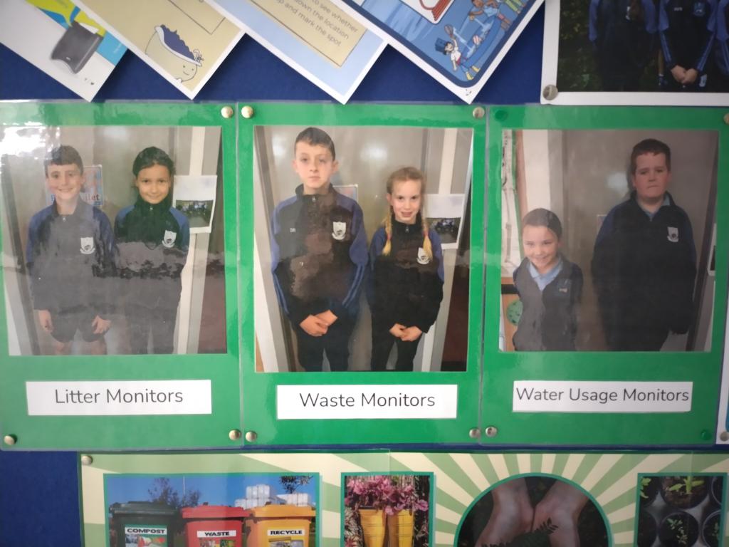 St. Patrick's Bruree tweet media