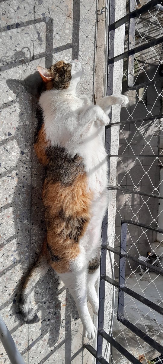 July Bernardez 🎈🎨 tweet media