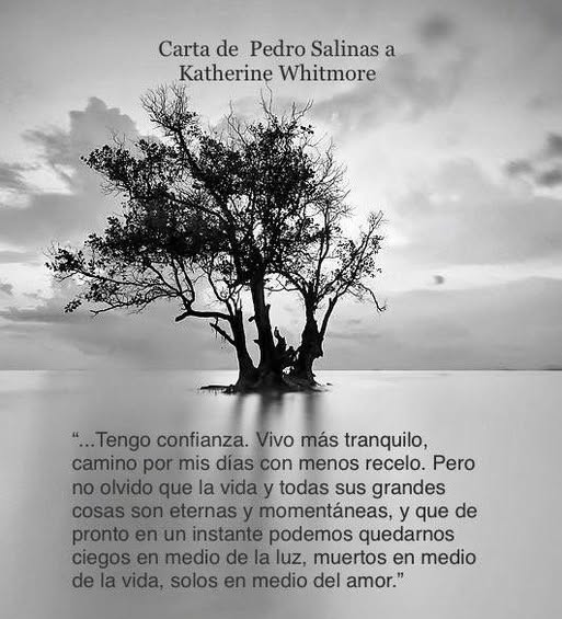 Un día como hoy de 1951 moría en Boston, tras quince años de exilio, uno de los mejores poetas del siglo XX: Pedro Salinas.
"En un instante podemos quedarnos ciegos en medio de la luz, muertos en medio de la vida, solos en medio del amor".