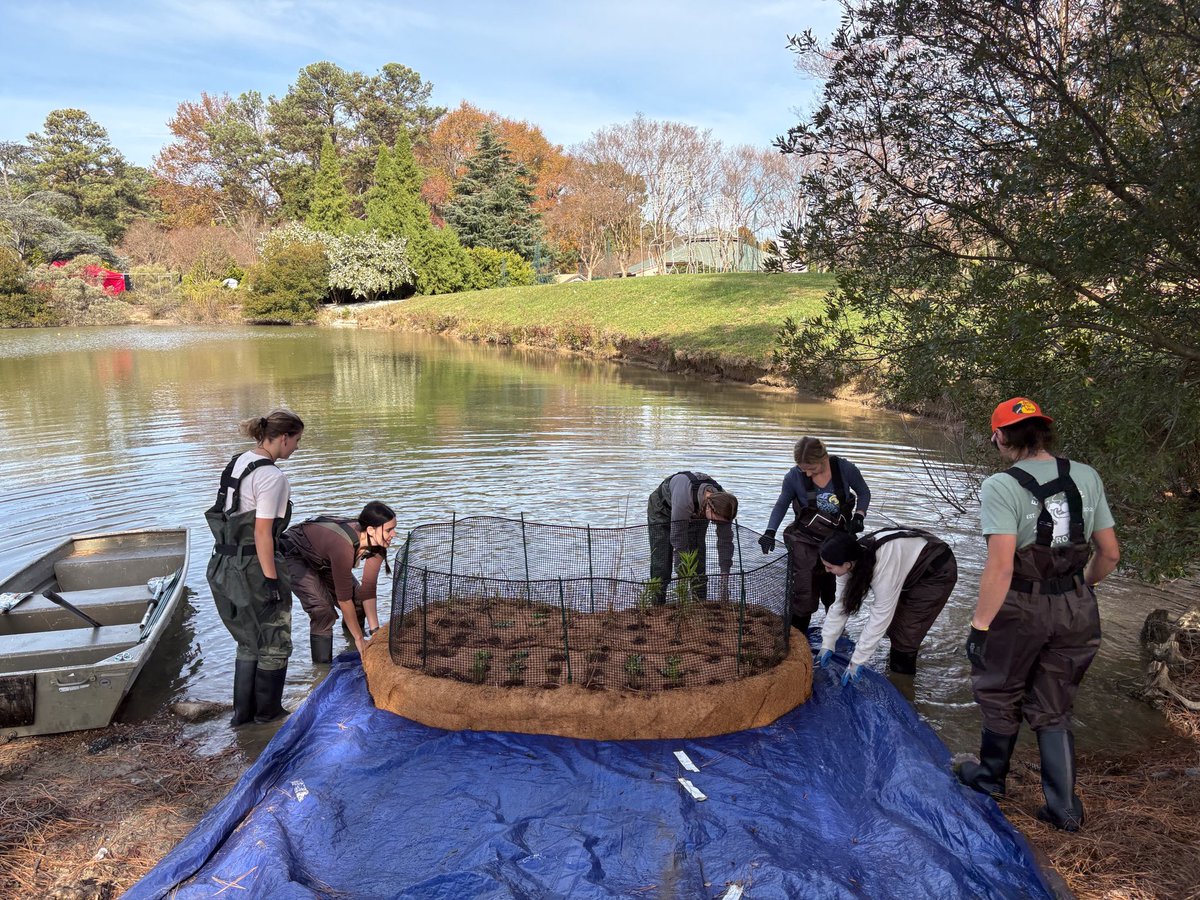 Norfolk Botanical Garden tweet media
