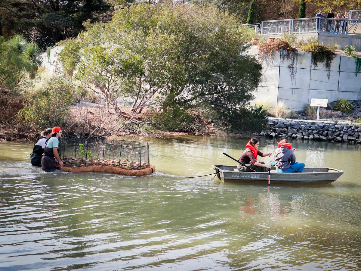 Norfolk Botanical Garden tweet media