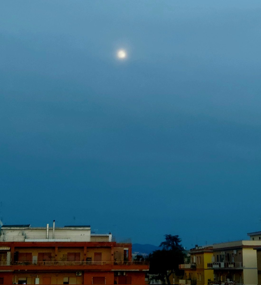 Maria Lea tweet media