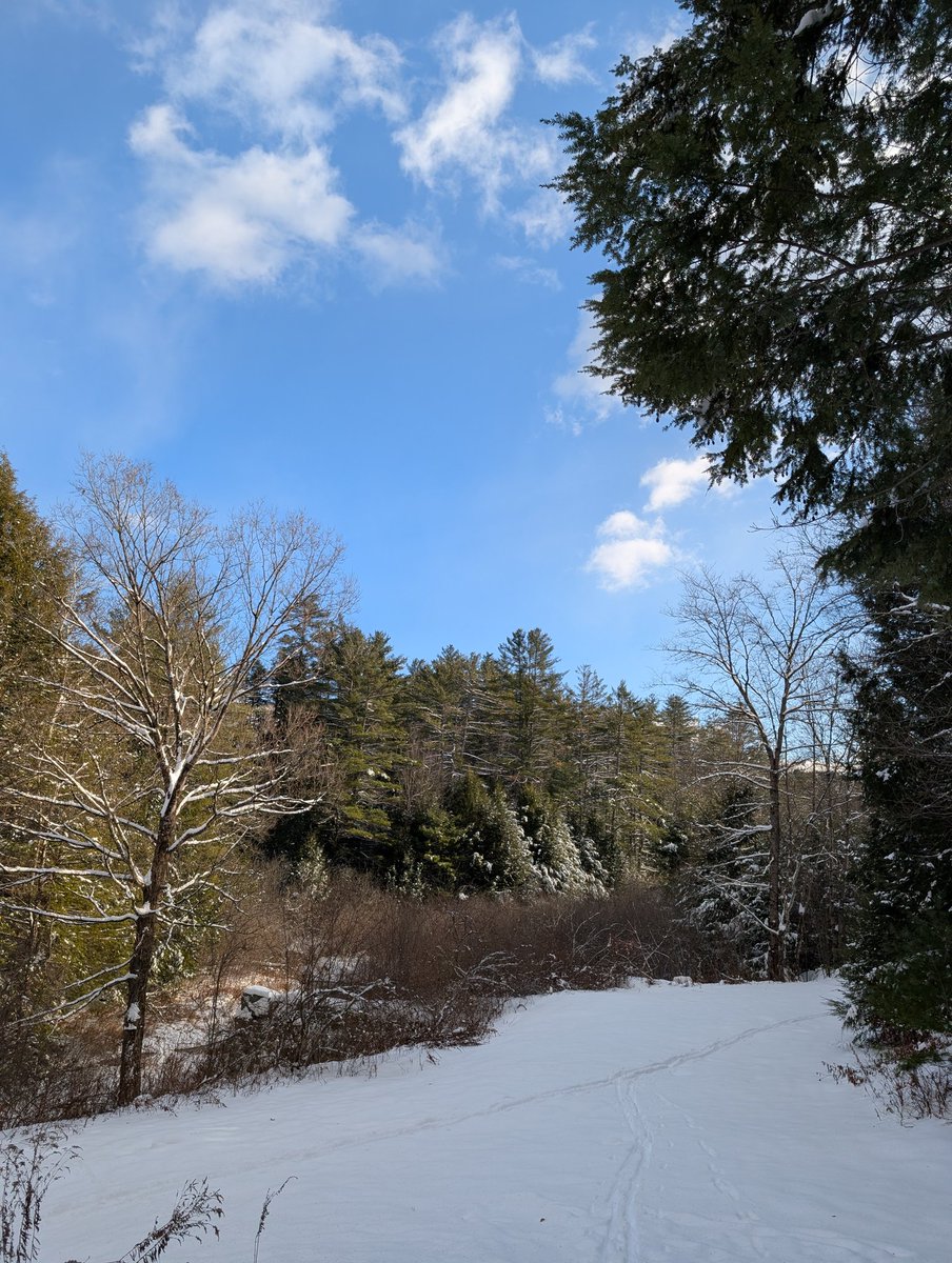 normonics's tweet image. First ski of the season ❄️