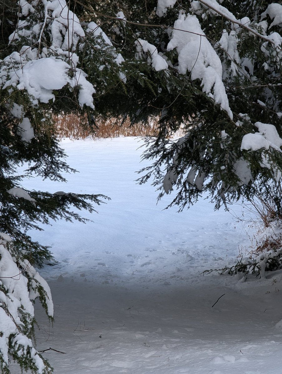 normonics's tweet image. First ski of the season ❄️