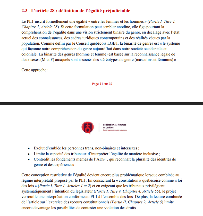 JoStAmour's tweet photo. Le délire intersectionnel de la FFQ! Elle réfute la vision binaire dans l'expression : égalité entre les femmes et les hommes!#transactivisme #idéologiedugenre https://t.co/2lhQf4L5k6