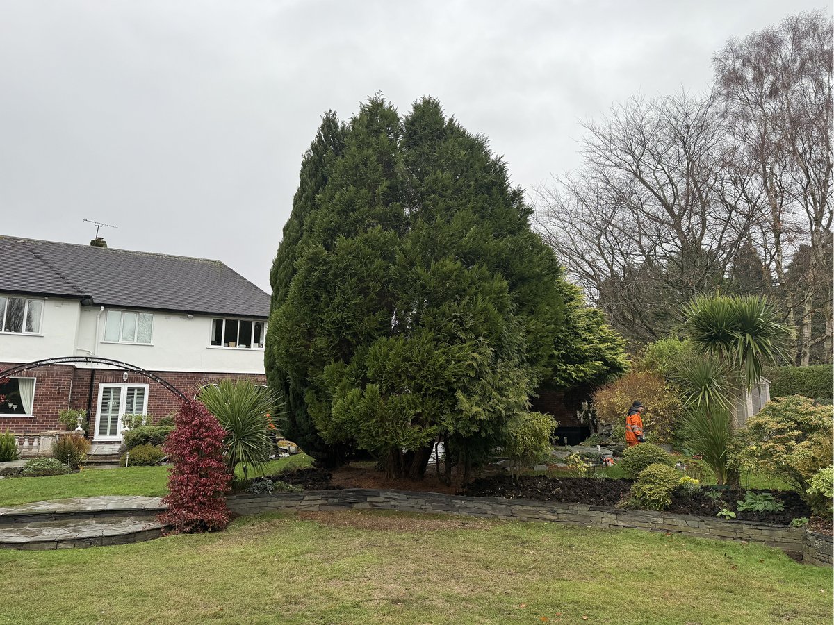 LumbersNW's tweet photo. 🌳 Before ➡️ After in Heswall, Wirral today!

✅ Professional Tree Surgery
✅ Hedge Trimming
✅ Site Clearance
✅ Commercial Grounds Maintenance

🌿 Fully qualified • Fully insured • Free quotes
📞 Call or email us to book your free quote.
#Liverpool #chester #wirral https://t.co/xLkZeAZoAi