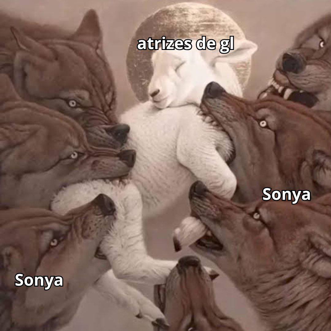 esse é o meme que resume a Sonya Saranphat