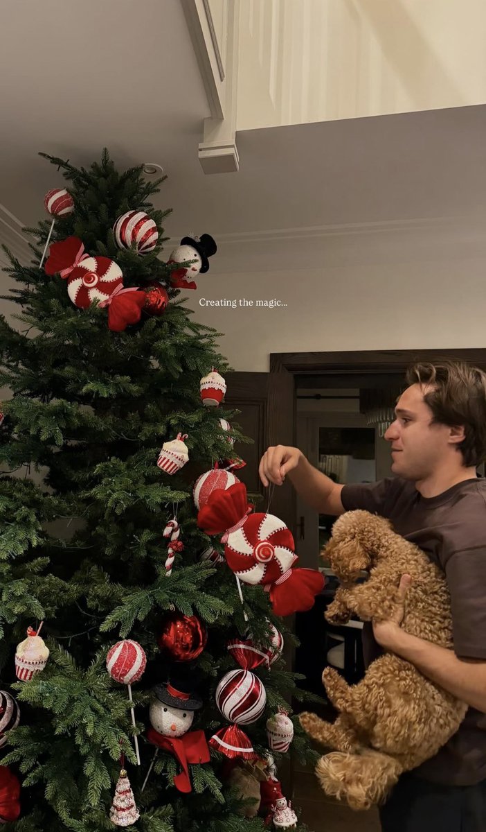 vvdball's tweet image. this is who you are mistreating @arneslot YOURE BALD