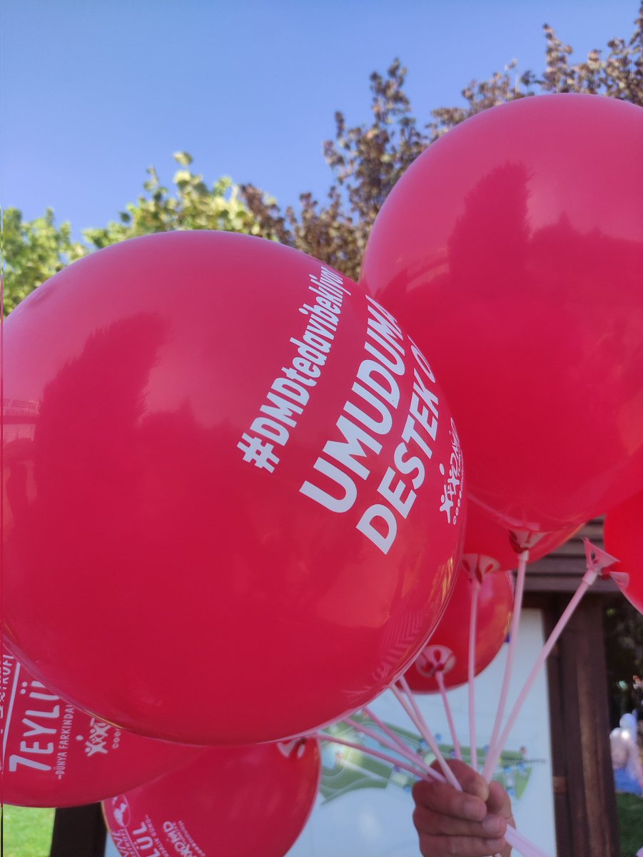ySelcuk262209's tweet photo. Amacımız DMD Duyulsun 

Farkındalık için
Her Akşam Tweetler atıyor
Balonlar bırakıyoruz 
Farklı olmak🎈Farkında olmak için
Gelin sizde bir balon bırakın

#DMDninUmuduSensin
🎈🎈🎈👇🎈🎈🎈
#DMDiçinAdımAtın

Fatih Ürek /#DişveEczaAtama
Kendine Muhabir / Yılbaşı https://t.co/xozW5exYI7