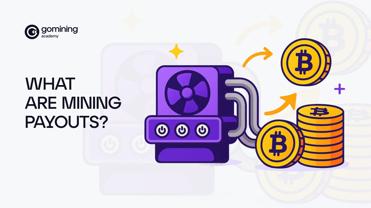 Mining rewards don’t move with the market — they’re paid in BTC. But profitability can change, as miners pay their costs in fiat 💵

During volatile price swings, miner efficiency becomes a strong differentiator.  

If you want a simple breakdown of payouts, net rewards, and how