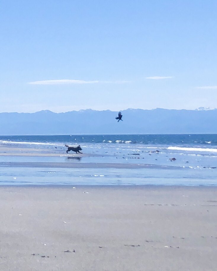 Jim Bottomley tweet media