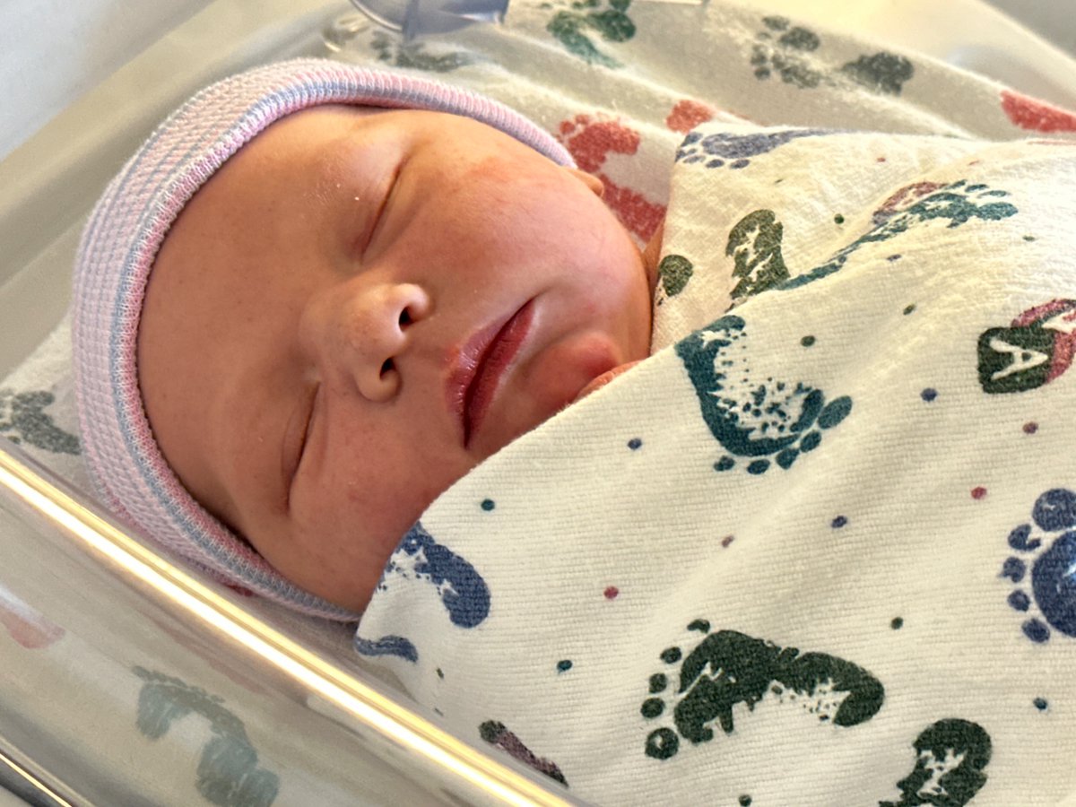 Daniel Hooper tweet media