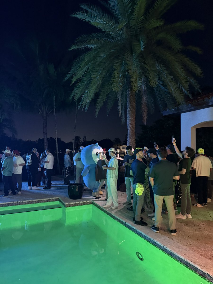 shivst3r's tweet image. Pengu spotted.