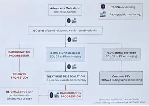 urotoday's tweet photo. #TrialsinProgress - CT-READ: ctDNA response adapted treatment de-escalation in metastatic #UrothelialCarcinoma. Presentation by @AbdulQadarMD @OUUrology. #SUO25 written coverage by @zklaassen_md @GACancerCenter > https://t.co/qmxZDLhlr1 @UroOnc https://t.co/jr6LWMsN2k