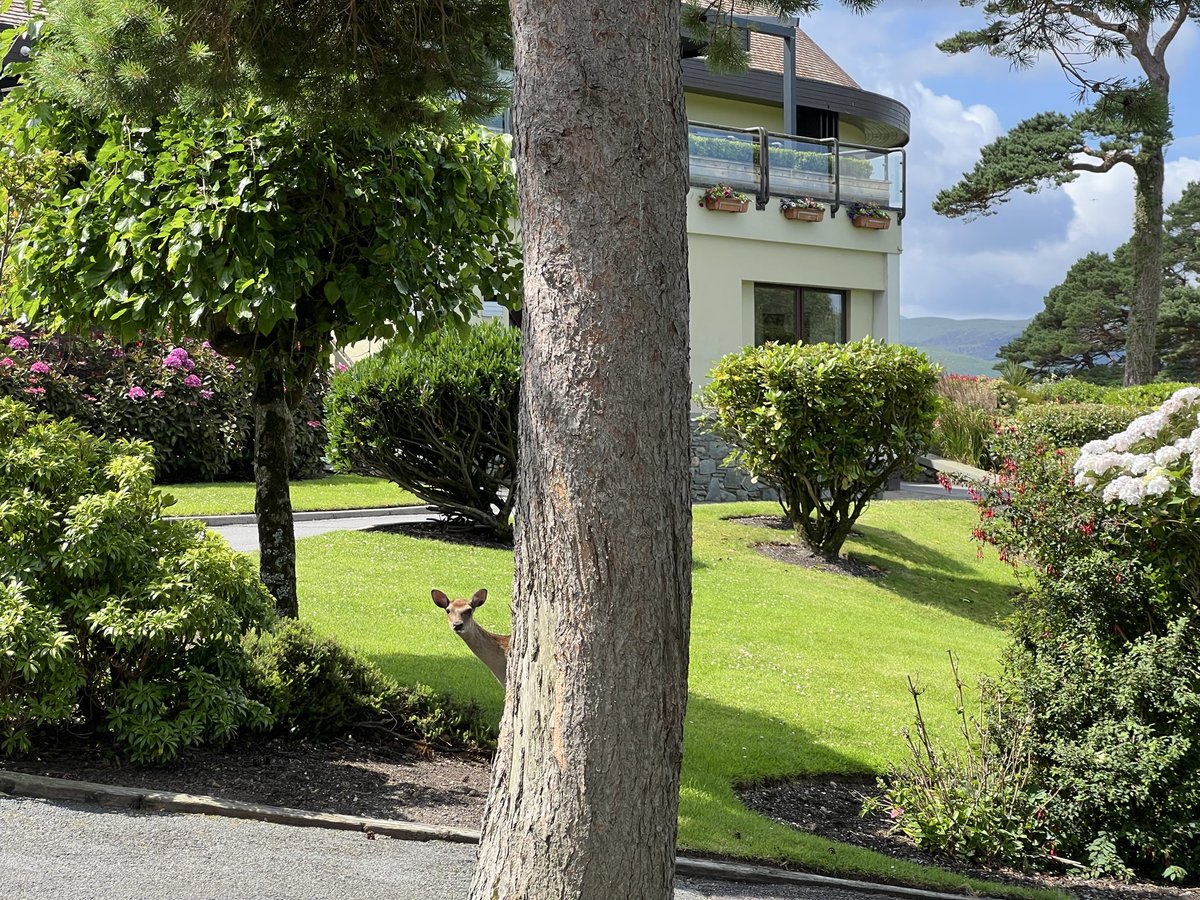 Kevin Markham tweet media