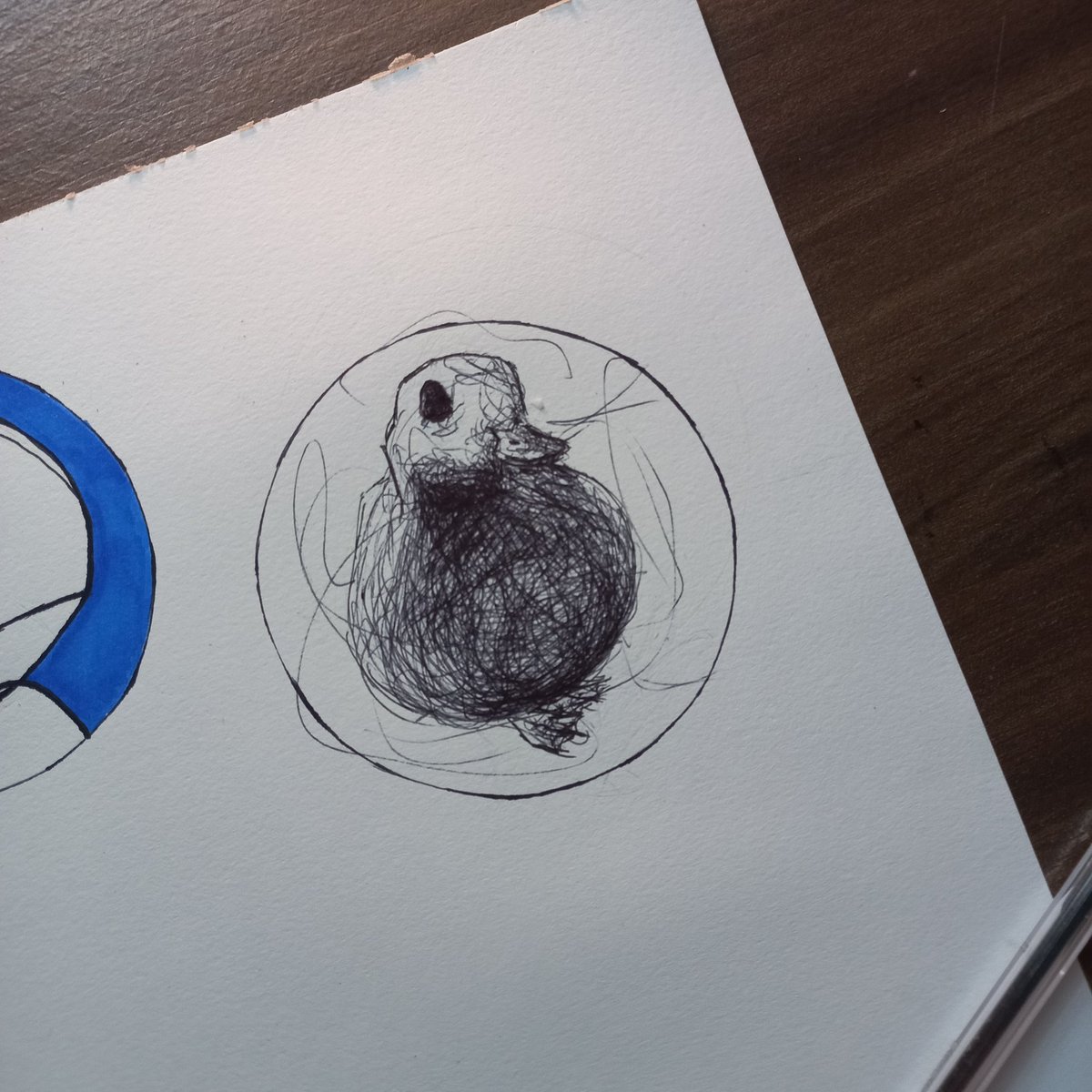 Nedetalhe's tweet image. Hoje desenhei o perfil de um seguidor raiz, o pato que sempre aparece por aqui 😆🦆

#fyp #viralart #drawingtutorial #artistsoftiktok #discoverart