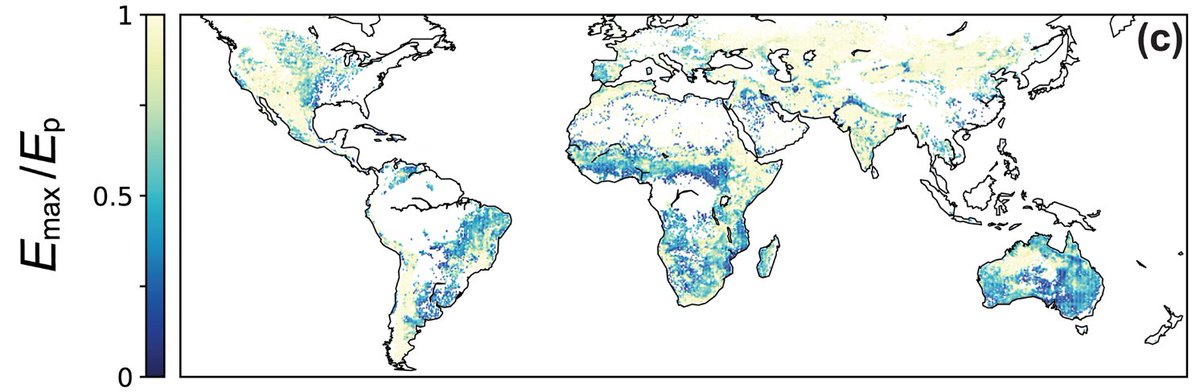 Biological & Ecological Engineering tweet media