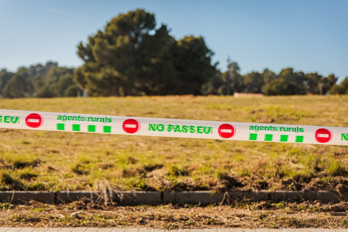 🔴 La col·laboració ciutadana és clau!

Les persones podem ser vectors de transmissió (roba, vehicles, calçat...).

✔️ Respecteu les senyalitzacions.
✔️ No accediu a zones restringides.
✔️ Si veieu un senglar mort, aviseu al <a href="/112/">112</a>.

🤝 Junts podem frenar la #PPA.