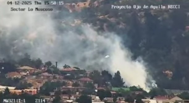 🚨🔥#Quilpue SALE M-31, M-22 CB QUILPUÉ POR INCENDIO FORESTAL EN GENERAL CRUZ / EGAÑA.

⚠️🔥PELIGRO DE PROPAGACIÓN🔥⚠️.