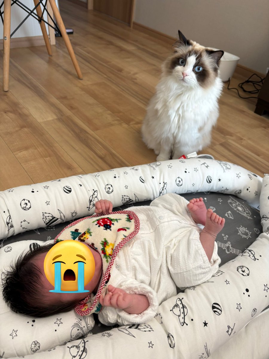mig_oO's tweet photo. 小さく生まれたけどどんどん大きくなってる👶🏻 https://t.co/qvFztClOJh