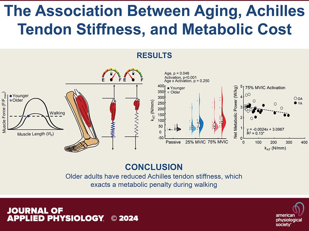 A joint team from <a href="/jointbme/">Lampe Joint Biomedical Engineering</a> and <a href="/NIHAging/">The National Institute on Aging (NIA)</a> bring you today's #ThrowbackThursday piece on exercsie and againg! (Aubrey Gray et al.):

ow.ly/ORCu50XBSwp