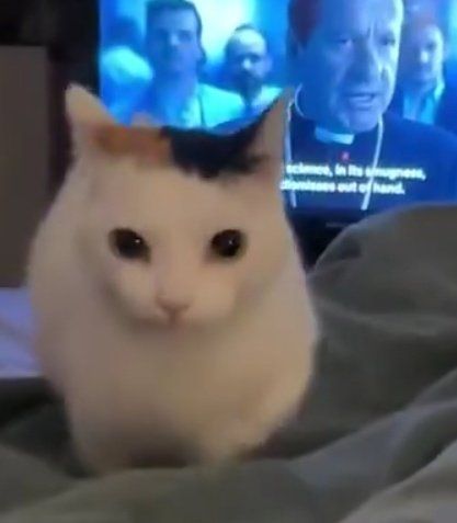 Por medio de la presente, quiero que sepan que acabo de hackear esta cuenta. Desde ahora, todos son putos, jotos y le van al américa. 

Fin del comunicado 🗣‼️‼️